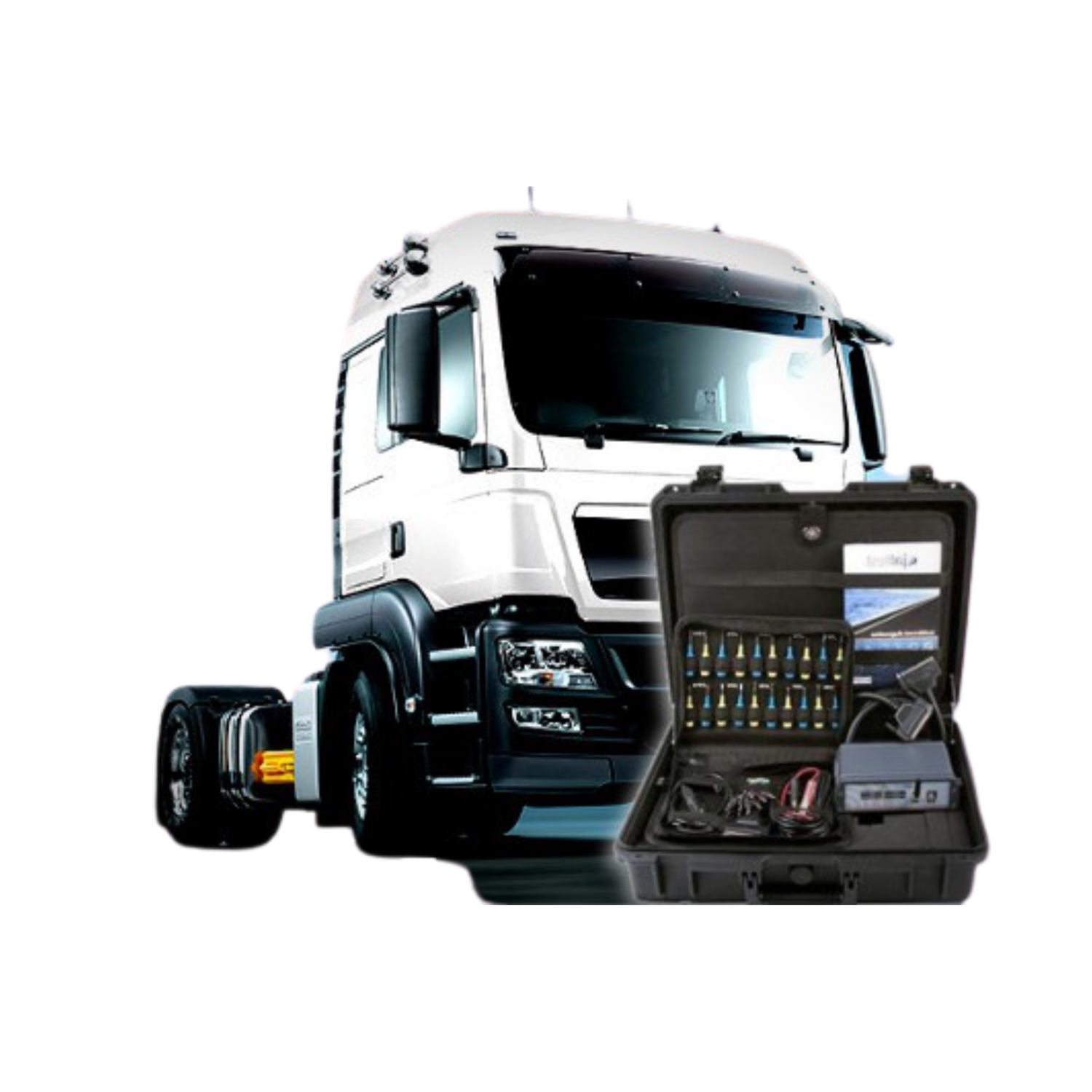 <span style="font-weight: bold;">Компьютерная диагностика </span>